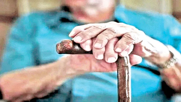  కొత్త పింఛన్లు వస్తున్నాయ్‌
