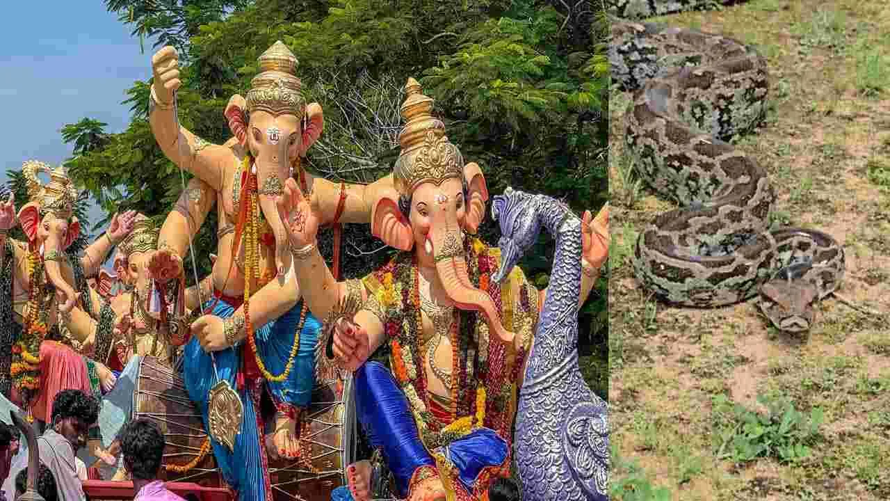 గణేశ్ నిమజ్జన వేడుకల్లో కొండచిలువతో డ్యాన్స్.. విశాఖ టీమ్‌పై చర్యలు