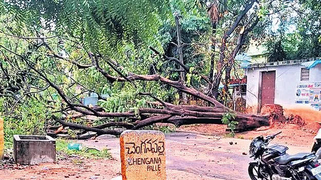 Rain: జిల్లాలో భారీ వర్షం 