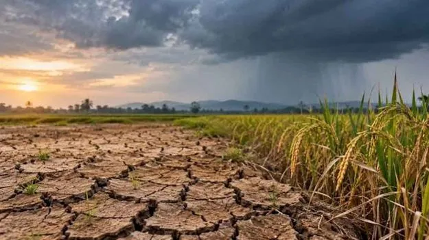 దేశంలోని 43శాతం ప్రాంతాల్లో   లోటు వర్షపాతం 