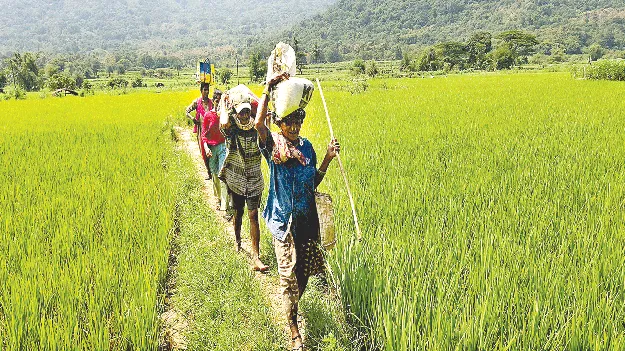   Climbing Hills రాళ్లు రప్పలు దాటాలి.. కొండ దిగి ఎక్కాలి