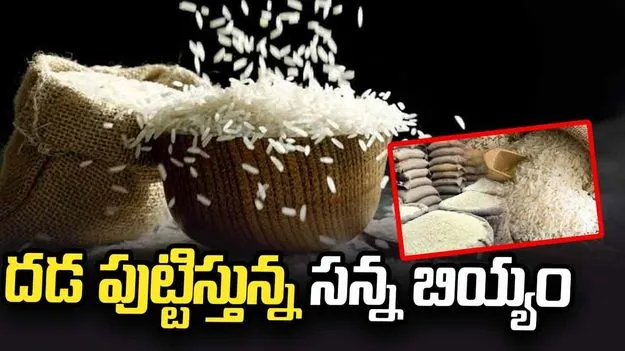 దడ పుట్టిస్తున్న సన్న బియ్యం 
