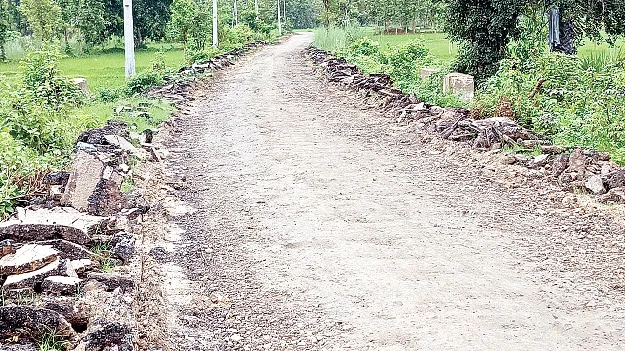 They dug it up and left it. తవ్వి వదిలేశారు