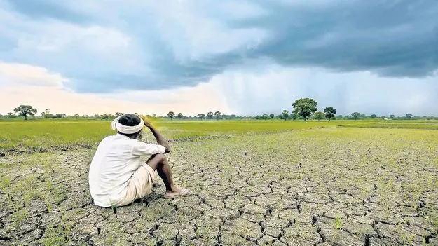 కరువు జిల్లాగా ప్రకటించండి 