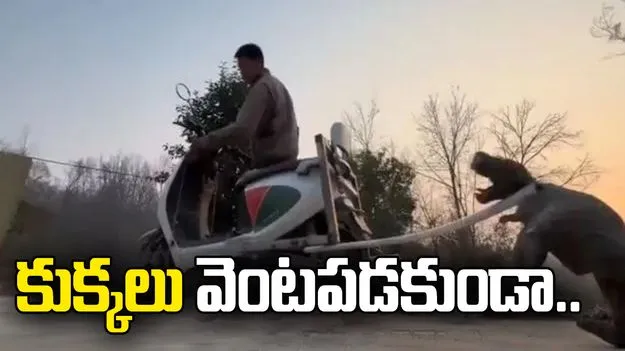 ఇదేం తెలివిరా బాబూ.. బైక్‌పై వెళుతుంటే కుక్కలు వెంటపడుతున్నాయని.. 