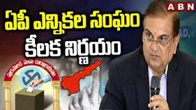 ఆన్‌లైన్‌లో స్థానిక ఎన్నికల అభ్యర్థుల అఫిడవిట్లు.. ఎస్‌ఈసీ కీలక నిర్ణయం