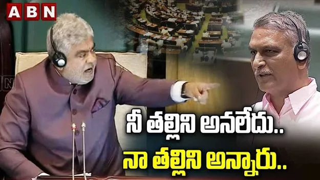 ‘నా తల్లిని అన్నారు.. ముందు నా సంగతేంటో చెప్పాలి’: స్పీకర్