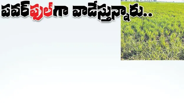 పవర్‌ ‘ఫుల్‌’గా వాడేస్తున్నారు..