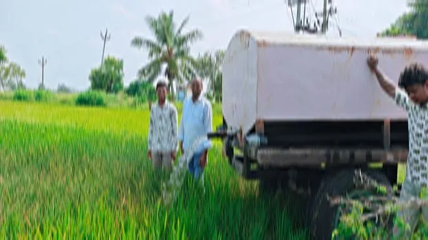 అన్నదాత ఆశలు ఆవిరి