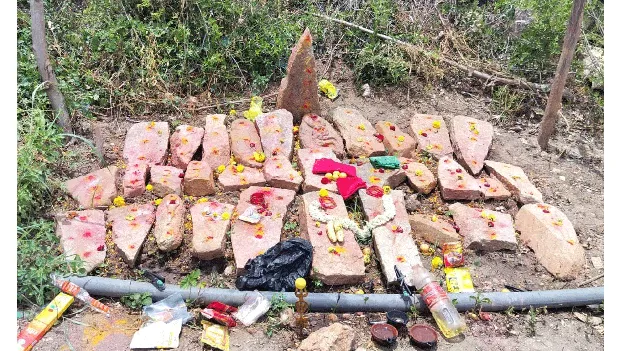 పొలంలో బయటపడ్డ పురాతన నాగపడగ రాళ్లు