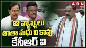 స్పీకర్‌పై తాతా మధు వ్యాఖ్యలు ఆయన వ్యక్తిగతం కాదు: మహేశ్ గౌడ్