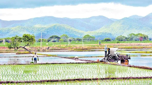 రైతుల మరణాల నమోదుకు గ్రీన్‌సిగ్నల్‌
