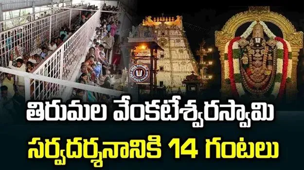 శ్రీవారి సర్వదర్శనానికి 14 గంటలు