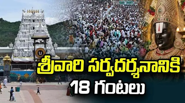 శ్రీవారి సర్వదర్శనానికి 18 గంటలు