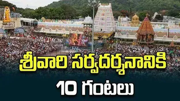 వేంకటేశ్వరస్వామి సర్వదర్శనానికి 10 గంటలు
