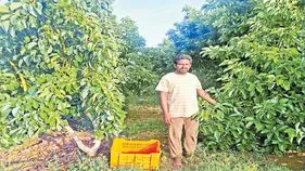 శభాష్‌ వరదారెడ్డి! 