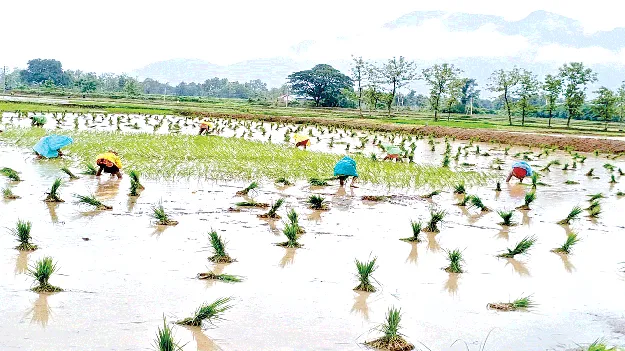 Lifeline for Crops పంటలకు ఊపిరి 