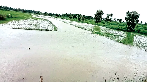  rain ముంచెత్తిన వాన 