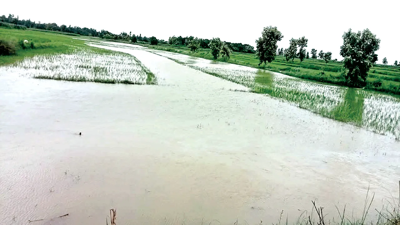 rain ముంచెత్తిన వాన