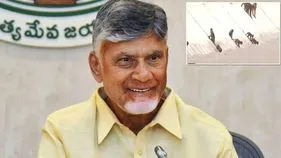 వానరాల దాహం తీర్చిన వెలిగొండ ఫీడర్ కెనాల్.. ఎక్స్‌లో సీఎం చంద్రబాబు పోస్ట్
