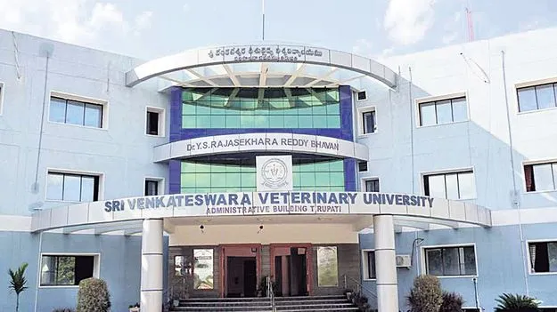 Veterinary: వెటర్నరీ వర్సిటీ ఇన్‌చార్జి వీసీ పదవి ఎవరికో?