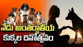 శునకం.. కావొద్దు భయానకం