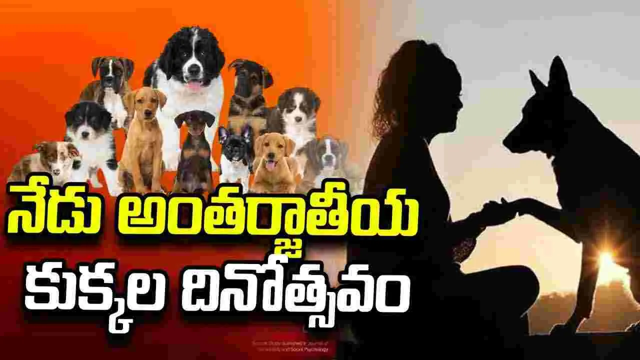 శునకం.. కావొద్దు భయానకం