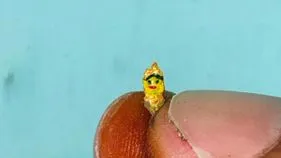 బియ్యపు గింజపై దుర్గాదేవి ముఖ చిత్రం
