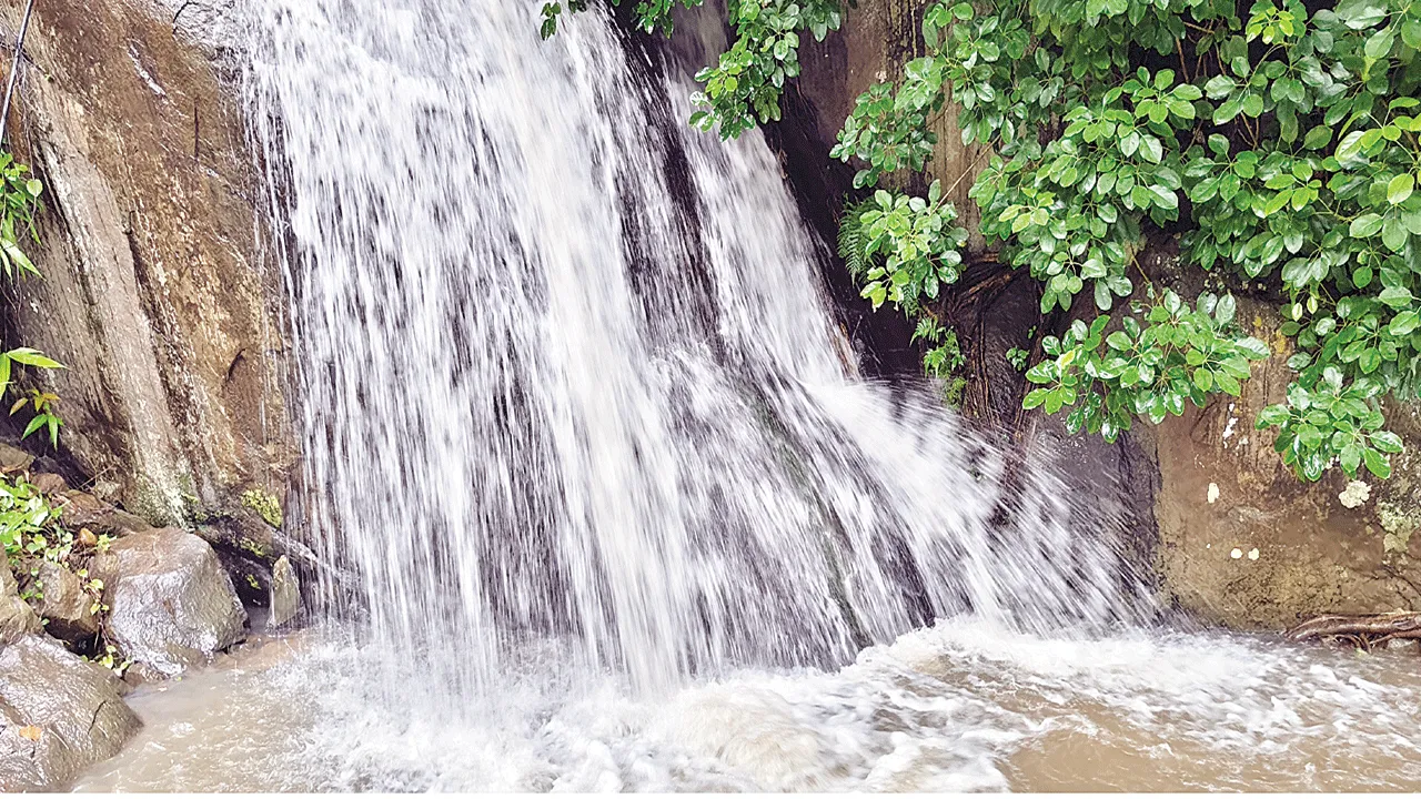 The Sound of Water జల సవ్వడి