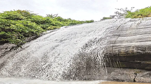   Tourism   పర్యాటకం పట్టదా?