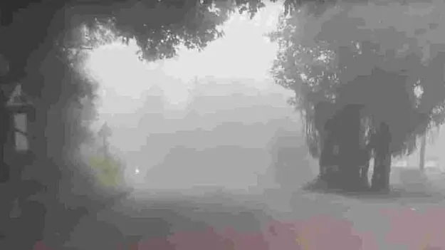 ఎల్‌నినోతో ఈసారి చలి తక్కువే! 