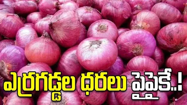 ఎర్రగడ్డల ధరలు పైపైకే..!