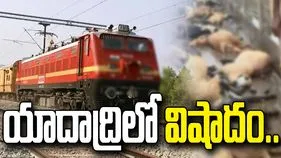 యాదాద్రిలో ఘోర ప్రమాదం.. రైలు ఢీకొని వందకు పైగా గొర్రెల మృతి