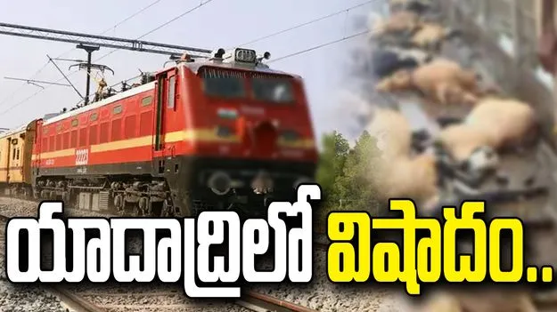 యాదాద్రిలో ఘోర ప్రమాదం.. రైలు ఢీకొని వందకు పైగా గొర్రెల మృతి