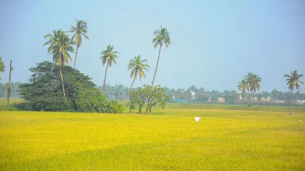 మునుగుతున్న సొంతింటి కల