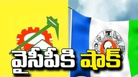 ఏపీలో వైసీపీకి భారీ షాక్.. టీడీపీలోకి భారీ వలసలు