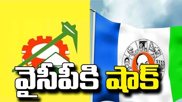 ఏపీలో వైసీపీకి భారీ షాక్.. టీడీపీలోకి భారీ వలసలు