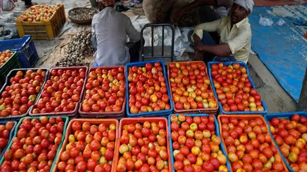 టమోటా కిలో రూ.20