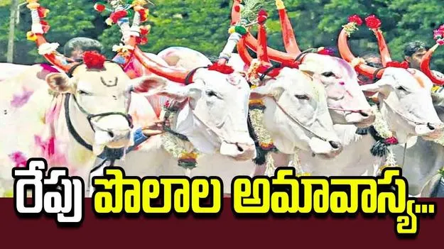 బసవన్నల పండుగ.. అన్నదాతతో పెనవేసుకున్న బంధం