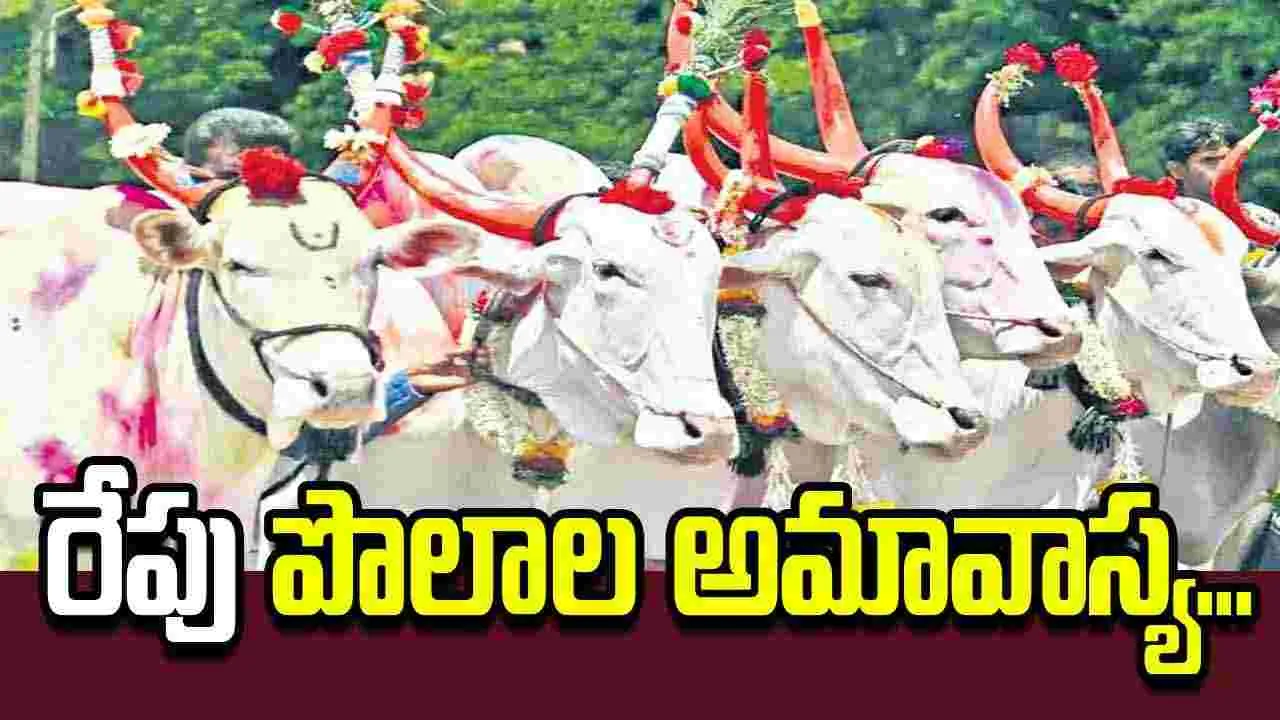 బసవన్నల పండుగ.. అన్నదాతతో పెనవేసుకున్న బంధం