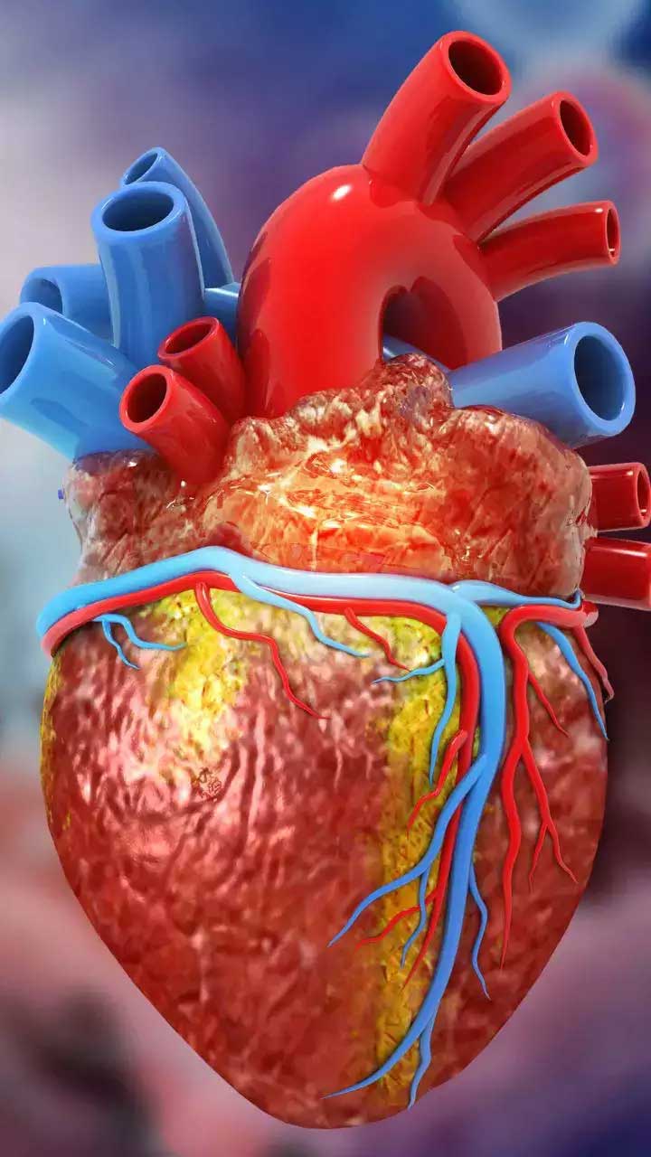 G Reddy Heart గుండె ఆరోగ్యంగా ఉండాలంటే.. రోజూ ఈ పనులు చేయండి చాలు..