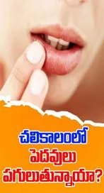 చలికాలంలో పెదవులు పగలడానికి కారణం ఏంటో తెలుసా ...