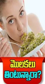  మొలకలు తింటే కలిగే షాకింగ్ ఫలితాలివీ..!