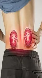 దీర్ఘకాలిక కిడ్నీ వ్యాధులు రాకుండా ఉండాలంటే.. 