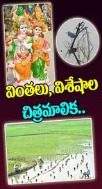 వింతలు, విశేషాల చిత్రమాలిక..