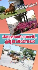 ఫొటో కలెక్షన్ ఆఫ్ ది డే