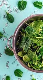 పోషకాలనిచ్చే పాలకూర.. బోలెడన్ని లాభాలివిగో..