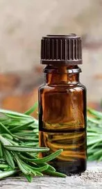 జుట్టును ఆరోగ్యంగా ఉంచే ది బెస్ట్ ఆయిల్స్ ఇవే..