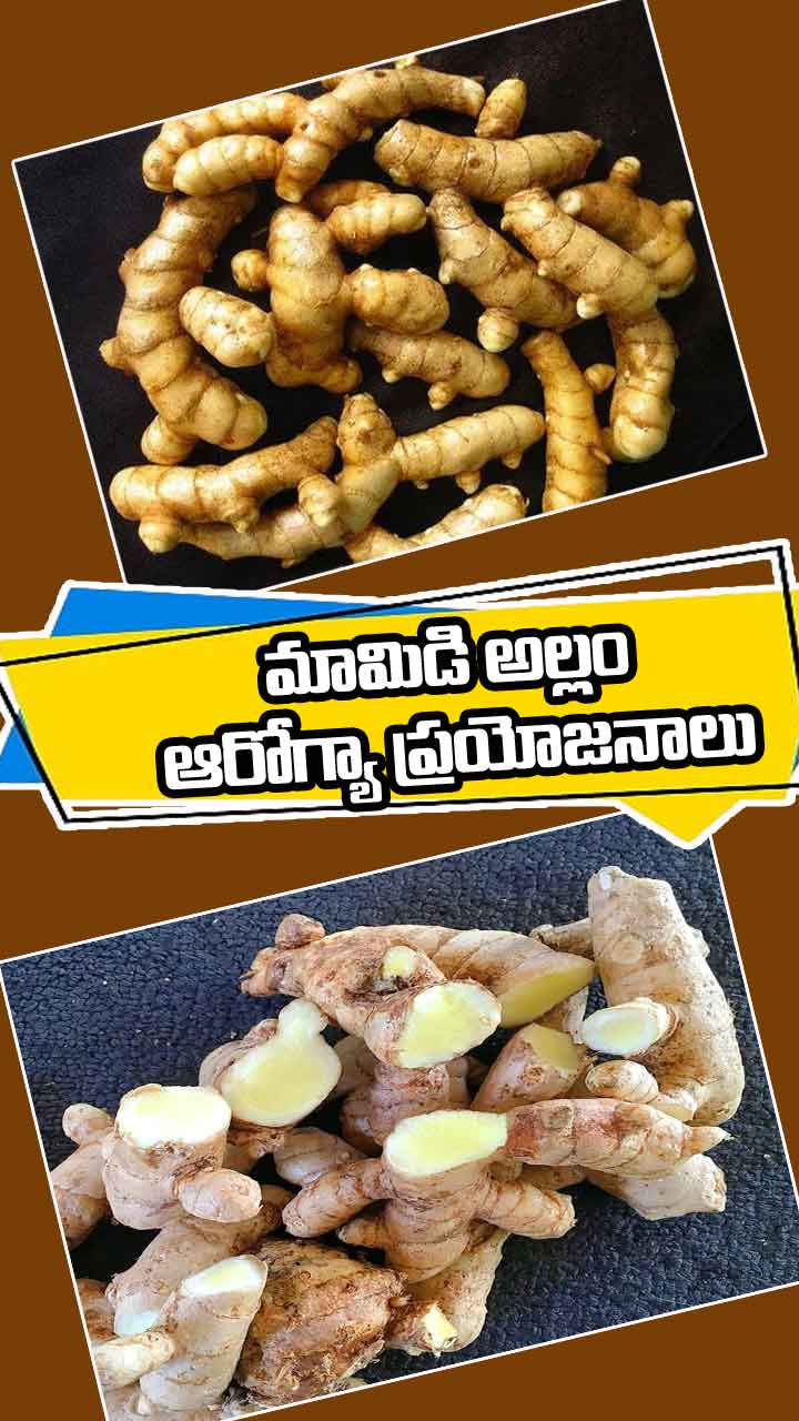 మామిడి అల్లం ఆరోగ్యానికి మంచిదేనా