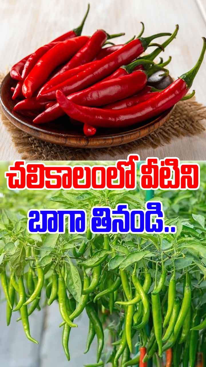 చలికాలంలో వీటిని బాగా తినండి.. ఎందుకంటే...!